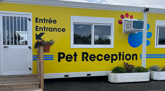 How to take your dog on holiday to Europe via the Eurotunnel