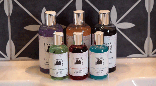 How to use concentrated dog shampoo