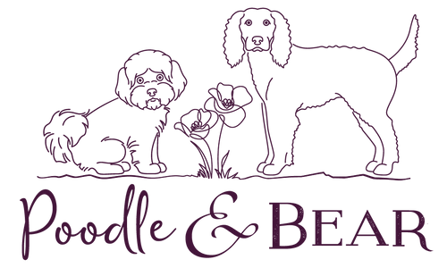 Poodle & Bear