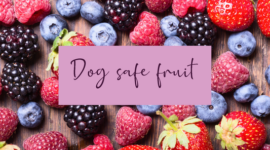 Fruit for dogs - Our favourite fruits and Top Tips for feeding