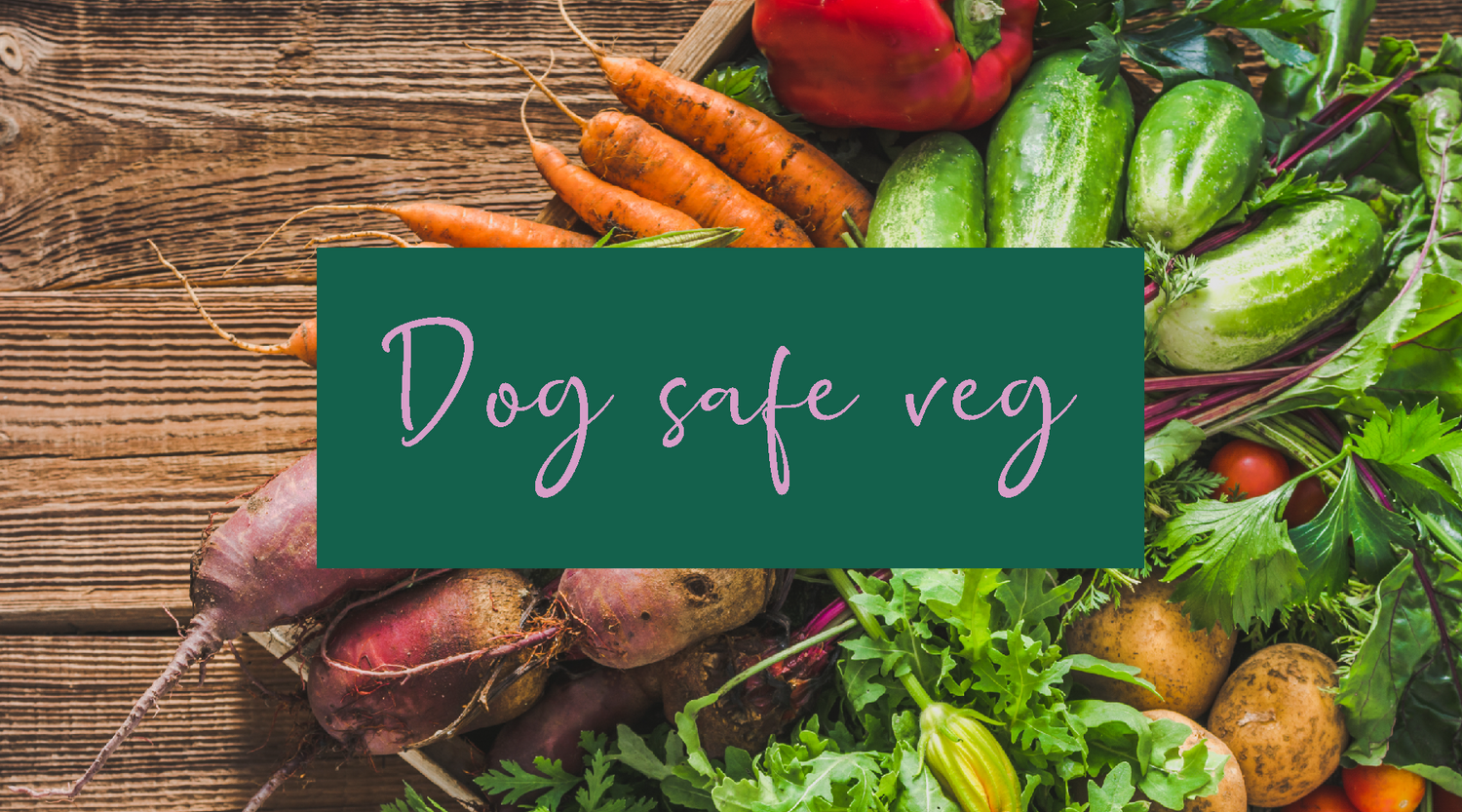 What vegetables are safe to feed and good for my dog? Poodle & Bear