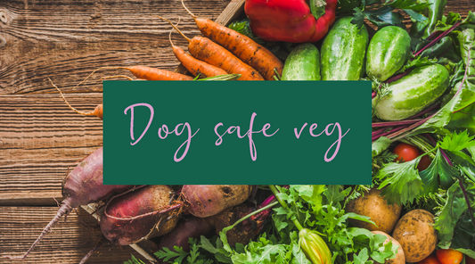 Vegetables for dogs - Our favourite veggies and Top Tips for feeding