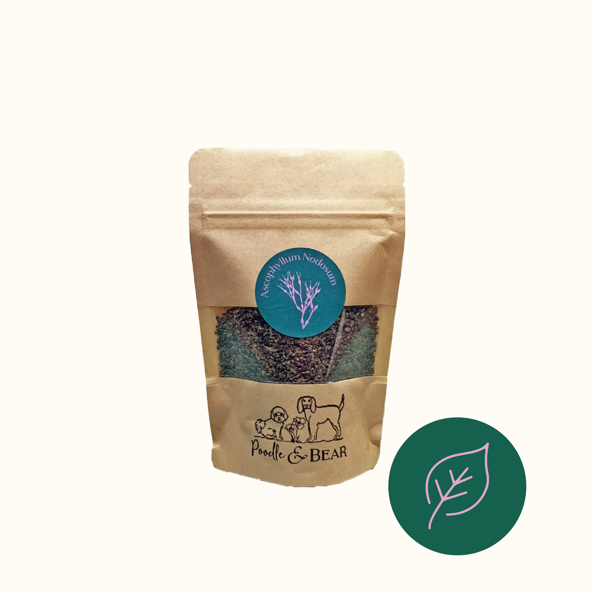 Seaweed Ascophyllum nodosum